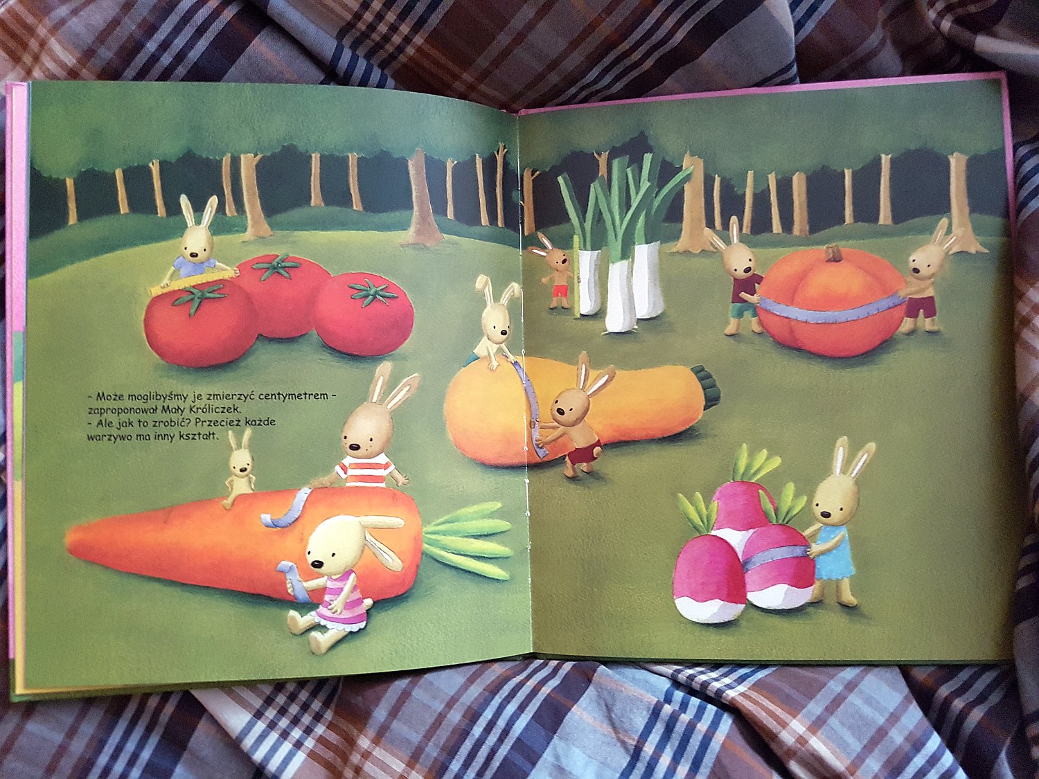 "Mały króliczek i jego magiczna marchewka"